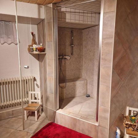Grosses Gemuetliches Zimmer Mit Eigener Dusche Und Sauna Auf Wunsch Rheinstetten Zewnętrze zdjęcie